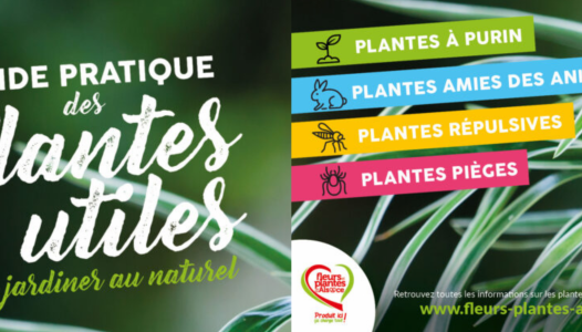 Les plantes utiles