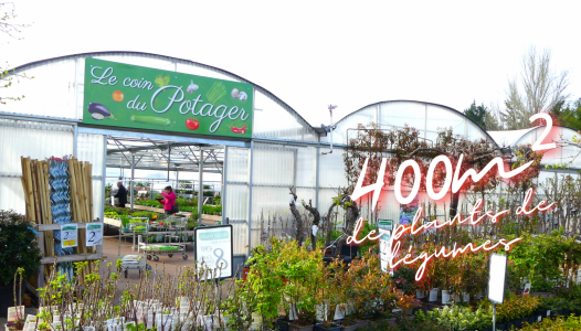 Mise en valeur rayon potager