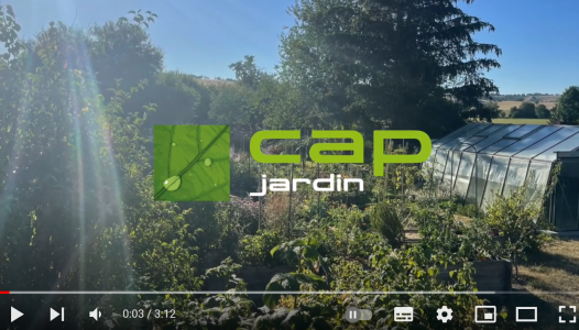 Les légumes les plus résistants à la sécheresses