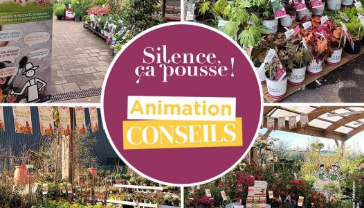 Animation à la Pépinière
