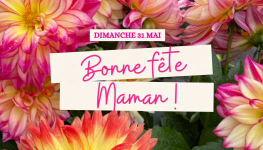 Bonne fête Maman !