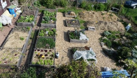 Quand l'aubergine se marie à la patate, l'association des légumes