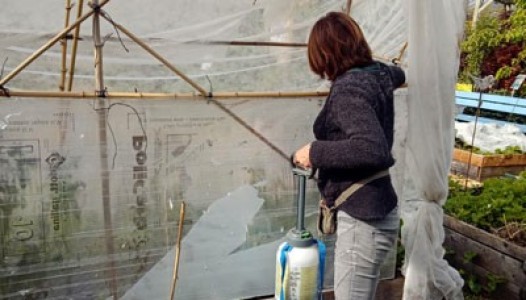 Protégez vos cultures jusqu’aux Saintes Glaces