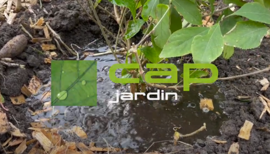 Les plantations d'automne