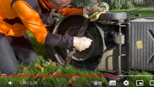 L'automne, la saison du gazon !!