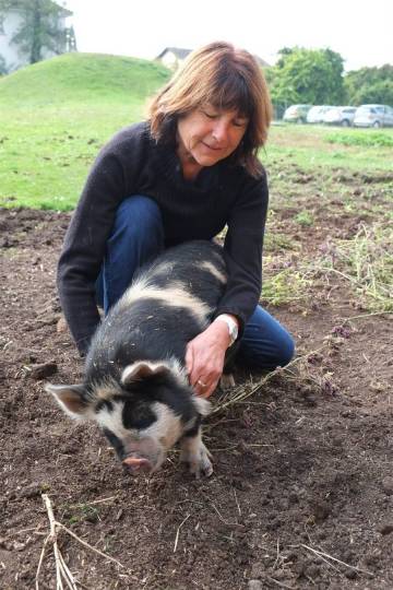 animaux fleurs lisch