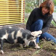 animaux fleurs lisch
