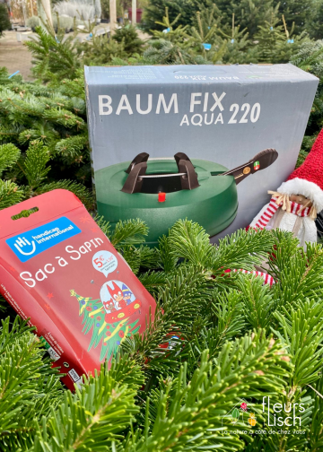 Pied et sac à sapin