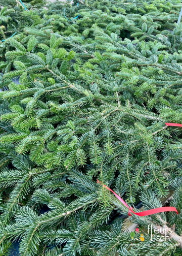 branches de sapin