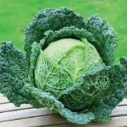 choux