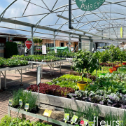 légumes