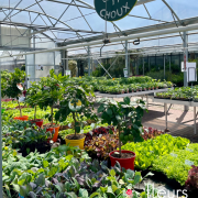 légumes