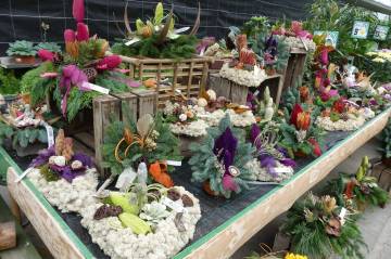 Composition toussaint