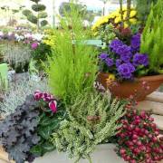 compositions automne