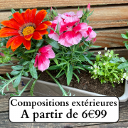 composition fleurie extérieure