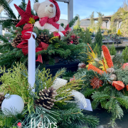 composition sapin Noël