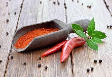 cucurbitacées et solanacées