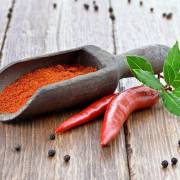 cucurbitacées et solanacées