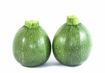 cucurbitacées et solanacées