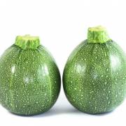 cucurbitacées et solanacées