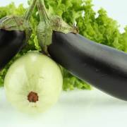 cucurbitacées et solanacées