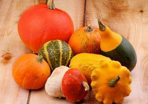 cucurbitacées et solanacées