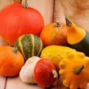 cucurbitacées et solanacées