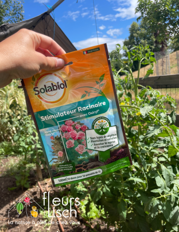 stimulateur racinaire