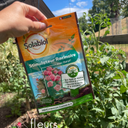 stimulateur racinaire