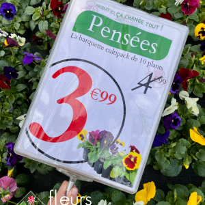 Cultipack de pensées