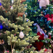 Décorations de Noël
