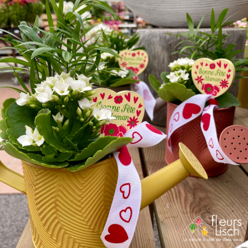 Des fleurs pour la Fête des mères