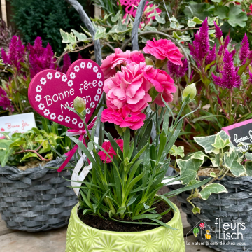 Des fleurs pour la Fête des mères