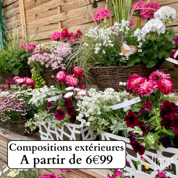 Des fleurs pour la Fête des mères