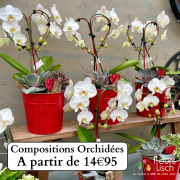 Des fleurs pour la Fête des mères