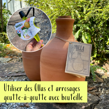 Les conseils Lisch contre la chaleur