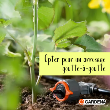 Les conseils Lisch contre la chaleur