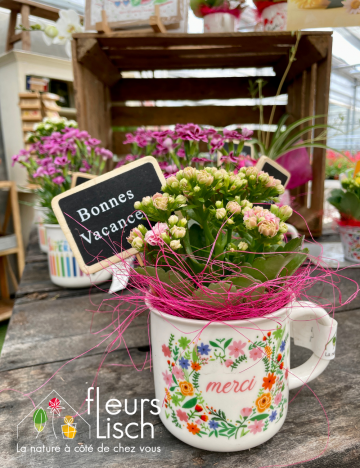 Merci Maître et Maîtresse