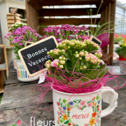 Merci Maître et Maîtresse