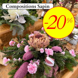 offre après toussaint