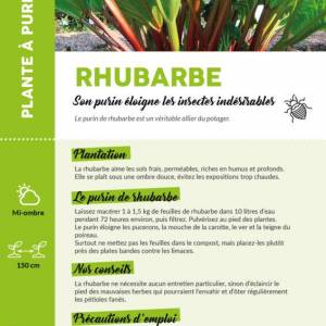 Plantes utiles