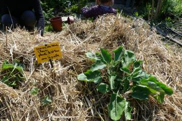 potager de laurence