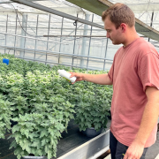 Protection biologique intégrée