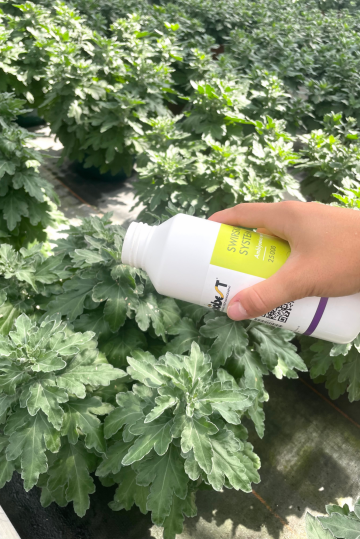 Protection biologique intégrée