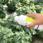 Protection biologique intégrée