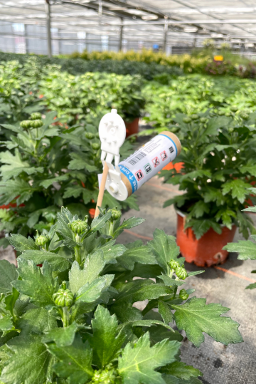 Protection biologique intégrée