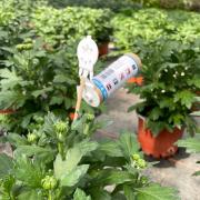 Protection biologique intégrée