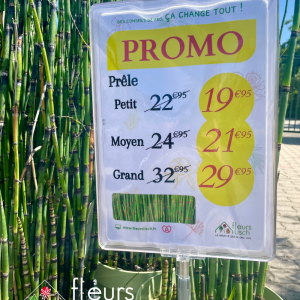 Promo Pépinière