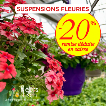 soldes 2026