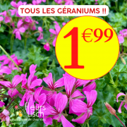 soldes 2026